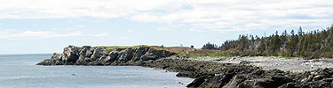 View of rocky shore