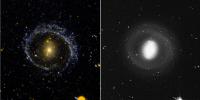 Barred Ring Galaxy NGC 1291