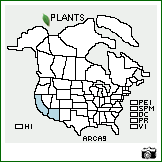 Distribution of Aristida californica Thurb. ex S. Watson. . Image Available. 