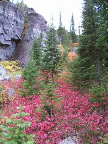 Picture of DuCharm Colors Cliff