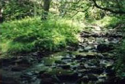 Image of Etowah watershed in Georgia.