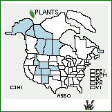 Distribution of Astragalus bodinii Sheldon. . 