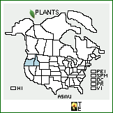 Distribution of Astragalus mulfordiae M.E. Jones. . 