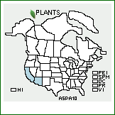 Distribution of Astragalus palmeri A. Gray. . 
