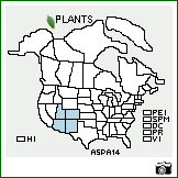 Distribution of Astragalus pattersonii A. Gray ex Brandegee. . Image Available. 