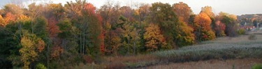 Red, orange, and yellow trees along the Saugus River