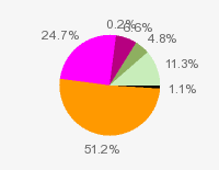 Pie chart: in table form below