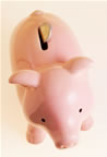 Image of piggy bank