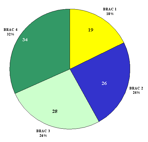 Pie chart: BRAC 1 - 18% (19), BRAC 2 - 24% (26), BRAC 3 - 26% (28), BRAC  4 - 32% (34)