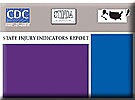 cover of state injury indicators report