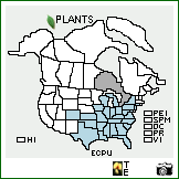 Distribution of Echinacea purpurea (L.) Moench. . Image Available. 