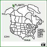 Distribution of Trifolium alexandrinum L.. . Image Available. 