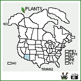 Distribution of Trifolium amabile Kunth. . Image Available. 