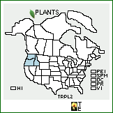 Distribution of Trifolium plumosum Douglas ex Hook.. . 