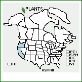 Distribution of Asarum marmoratum Piper. . 