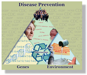 Disease Prevention through the interaction of Genes and Environment