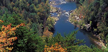 View of Big South Fork River and forests from East Rim Overlook.