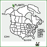 Distribution of Eleocharis congesta D. Don. . 