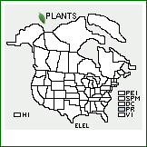 Distribution of Eleocharis elegans (Kunth) Roem. & Schult.. . 