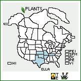 Distribution of Eleocharis lanceolata Fernald. . 