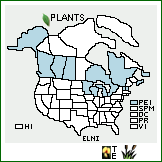 Distribution of Eleocharis nitida Fernald. . 