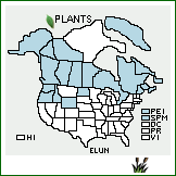 Distribution of Eleocharis uniglumis (Link) Schult.. . 