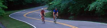 Bicyclists enjoying the park's scenic drive
