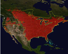 Satellite photo:  North America, with red color covering much of the United States and parts of Canada.
