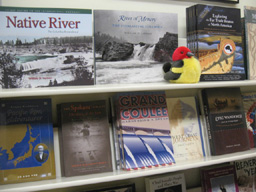 Books on bookstore shelf.