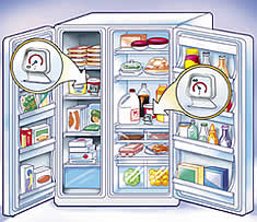 Graphic: color drawing of a refrigerator and freezer full of food, with thermometers registering temperatures of each. 
