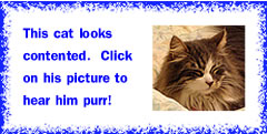 Photo: cat with eyes closed with caption:  This cat looks contented.  Click on his picture to hear him purr!