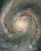 Whirlpool Galaxy