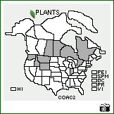 Distribution of Cotoneaster acutifolius Turcz.. . Image Available. 