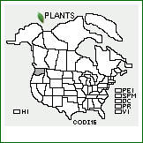 Distribution of Cotoneaster dielsianus E. Pritz.. . 