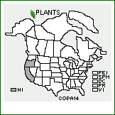 Distribution of Cotoneaster pannosus Franch.. . 