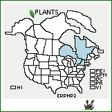 Distribution of Erigeron philadelphicus L. var. provancheri (Victorin & Rouss.) B. Boivin. . 