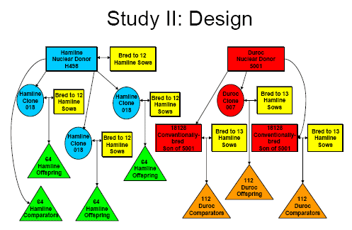 Figure F-2: Design of Viagen Study 2