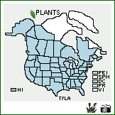 Distribution of Typha latifolia L.. . Image Available. 