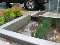 Bioretention & Stormwater