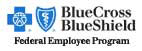 Blue Cross Blue Shield