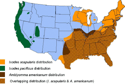 Map - Areas where human ehrlichiosis may occur