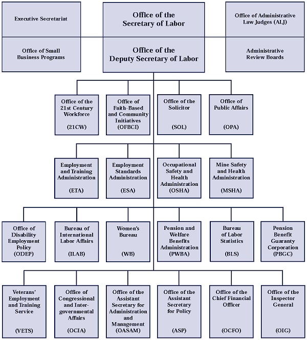 Image of DOL Organizational Chart.