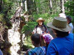 Park Ranger explores nature and trees along the River Loop trail with families.