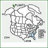 Distribution of Liatris pauciflora Pursh. . 