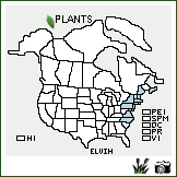 Distribution of Elymus virginicus L. var. halophilus (E.P. Bicknell) Wiegand. . Image Available. 