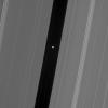This Cassini spacecraft view of Pan in the Encke gap shows hints of detail on the moon's dark side, which is lit by saturnshine -- sunlight reflected off Saturn.
