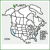 Distribution of Ilex ×attenuata Ashe [cassine × opaca]. . 