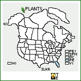 Distribution of Ilex krugiana Loes.. . 