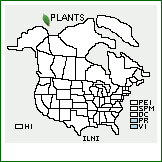 Distribution of Ilex nitida (Vahl) Maxim.. . 