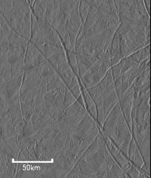 Flow-like Features On Europa